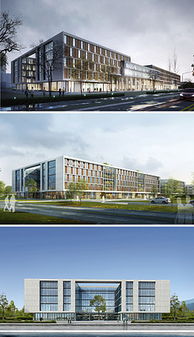 精品軟件素材與宜昌軟件開發(fā) 打造優(yōu)質用戶界面與功能體驗