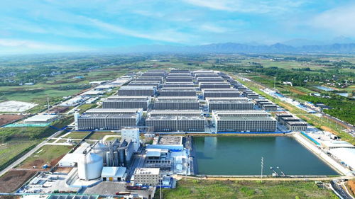 生豬產(chǎn)業(yè)勇闖關(guān) 探訪牧原股份宜昌軟件開發(fā)中心